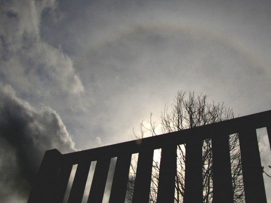 Halo around sun