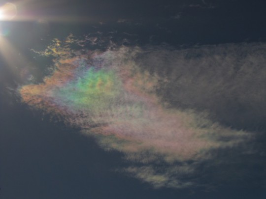 Cirrus clouds that are iridescent or nacreous