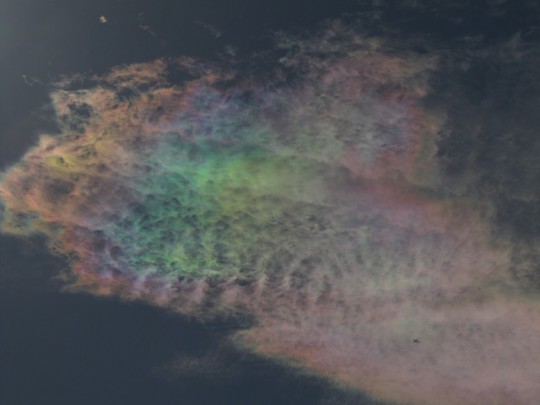 Cirrus clouds that are iridescent or nacreous