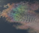 Cirrus clouds that are iridescent or nacreous