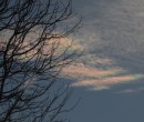 Cirrus clouds that are iridescent or nacreous