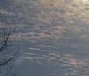 Cirrus clouds that are iridescent or nacreous