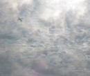 Cirrus clouds that are iridescent or nacreous