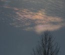 Cirrus clouds that are iridescent or nacreous