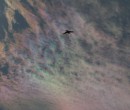 Cirrus clouds that are iridescent or nacreous