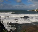 Big seas on the Illawarra coastline