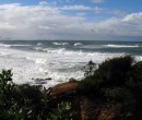 Big seas on the Illawarra coastline