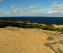 Track within the Royal National Park NSW