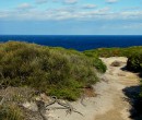 Track within the Royal National Park NSW