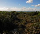 Track within the Royal National Park NSW