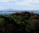 Track within the Royal National Park NSW