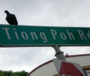 Tiong Bahru Singapore