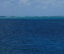 Agincourt Reef Great Barrier Reef Queensland