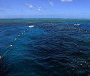 Agincourt Reef Great Barrier Reef Queensland