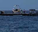 Agincourt Reef Great Barrier Reef Queensland