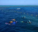 Agincourt Reef Great Barrier Reef Queensland