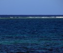 Agincourt Reef Great Barrier Reef Queensland