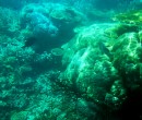 Agincourt Reef Great Barrier Reef Queensland