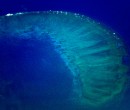 Great Barrier Reef Queensland Aerial