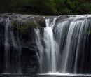 Nellies Glen in Budderoo National Park