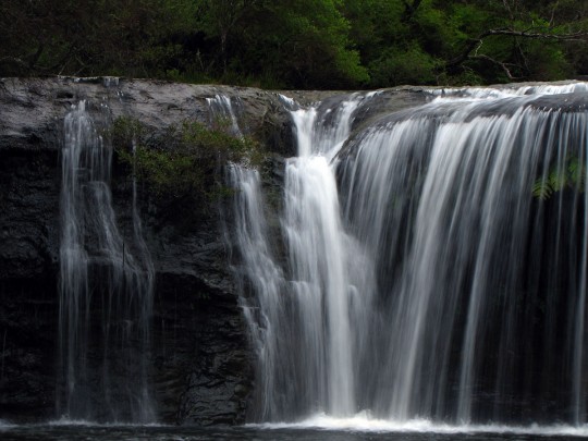 Nellies Glen in Budderoo National Park