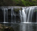 Nellies Glen in Budderoo National Park