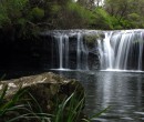 Nellies Glen in Budderoo National Park