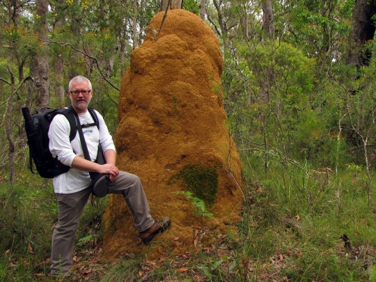 Darcy Moore by termite mound Budderoo National Park