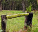 Fence posts near Budderoo National Park