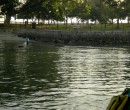 Fishing near the jetty at Changi Village, Singapore