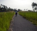 Riding through southern Johor, Malaysia