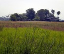 Countryside seen while riding through southern Johor, Malaysia