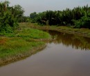 Local river seen while riding through southern Johor, Malaysia