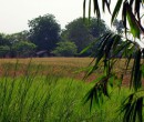 Countryside seen while riding through southern Johor, Malaysia