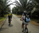 Riding through southern Johor Malaysia