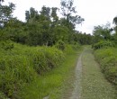 One of the bike tracks near the western end of the island