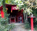 Taoist temple on the Pulau Ubin