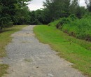 Bike track near the western end of Pulau Ubin