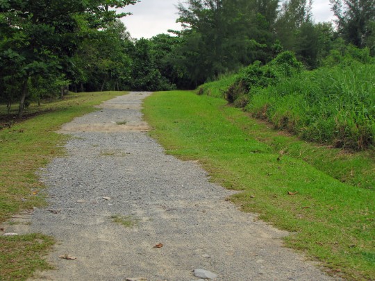 Bike track near the western end of Pulau Ubin