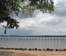 Looking towards Johor, Malaysia ~ Straits of Johor