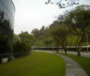 Morning walk through the NTU campus
