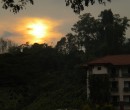 Evening walk through the NTU campus - Sunset