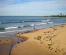 McCauley's Beach north of Sandon Point