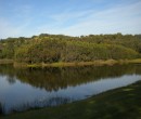 Bellambi lagoon