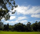 Roy Johanson Park Figtree