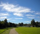 Roy Johanson Park Figtree