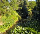 Cycling by Byarong Creek Figtree