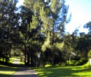 Cycling by Byarong Creek Figtree