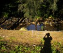 Cycling by Byarong Creek Figtree ~ my shadow was deliberate ~ rule of thirds