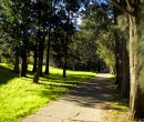 Cycling by Byarong Creek Figtree